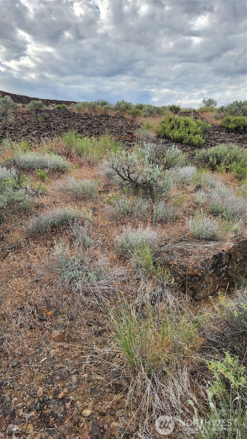 0 Lot 7 Singletree Drive Property Photo 8