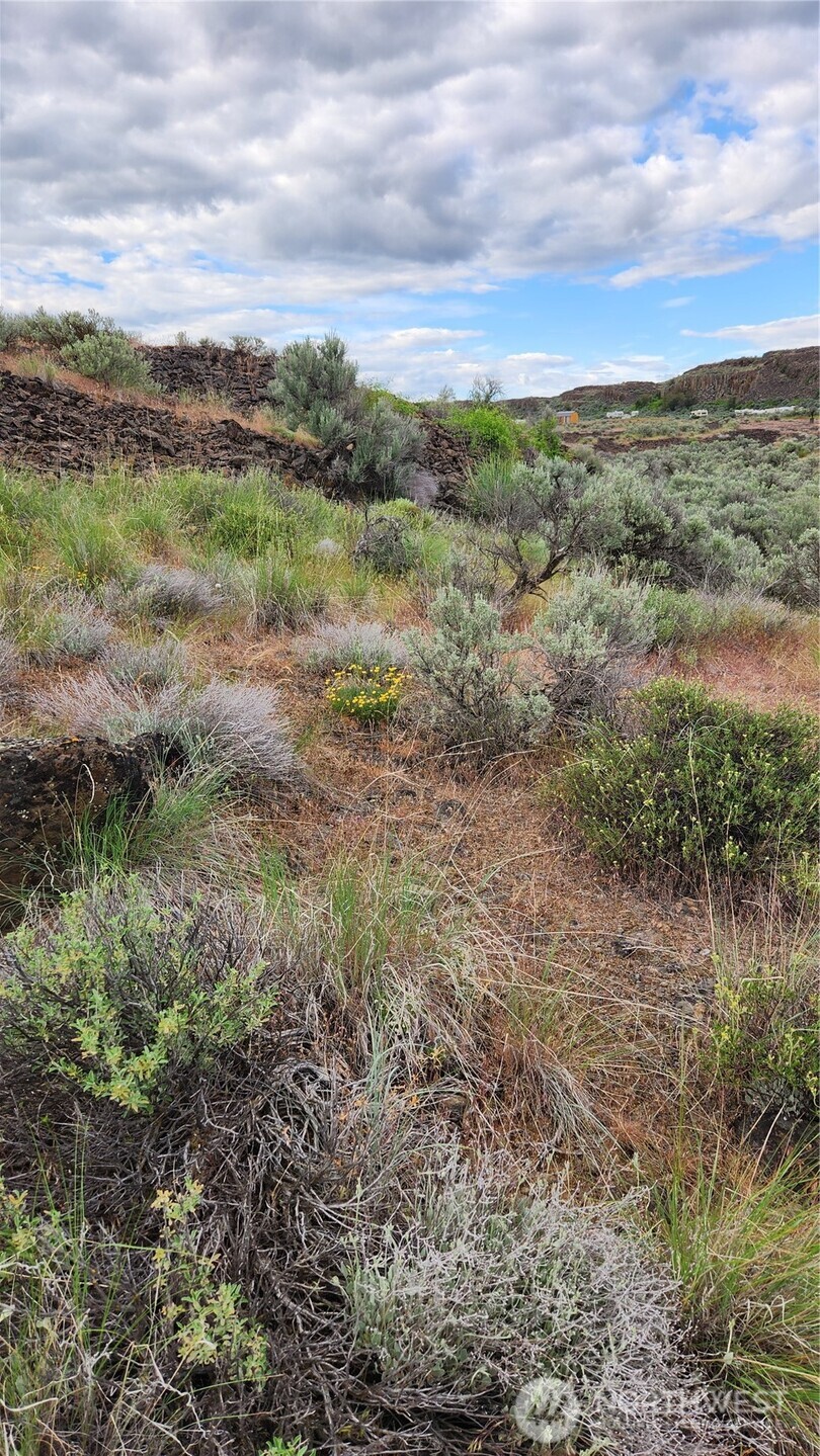0 Lot 7 Singletree Drive Property Photo 9