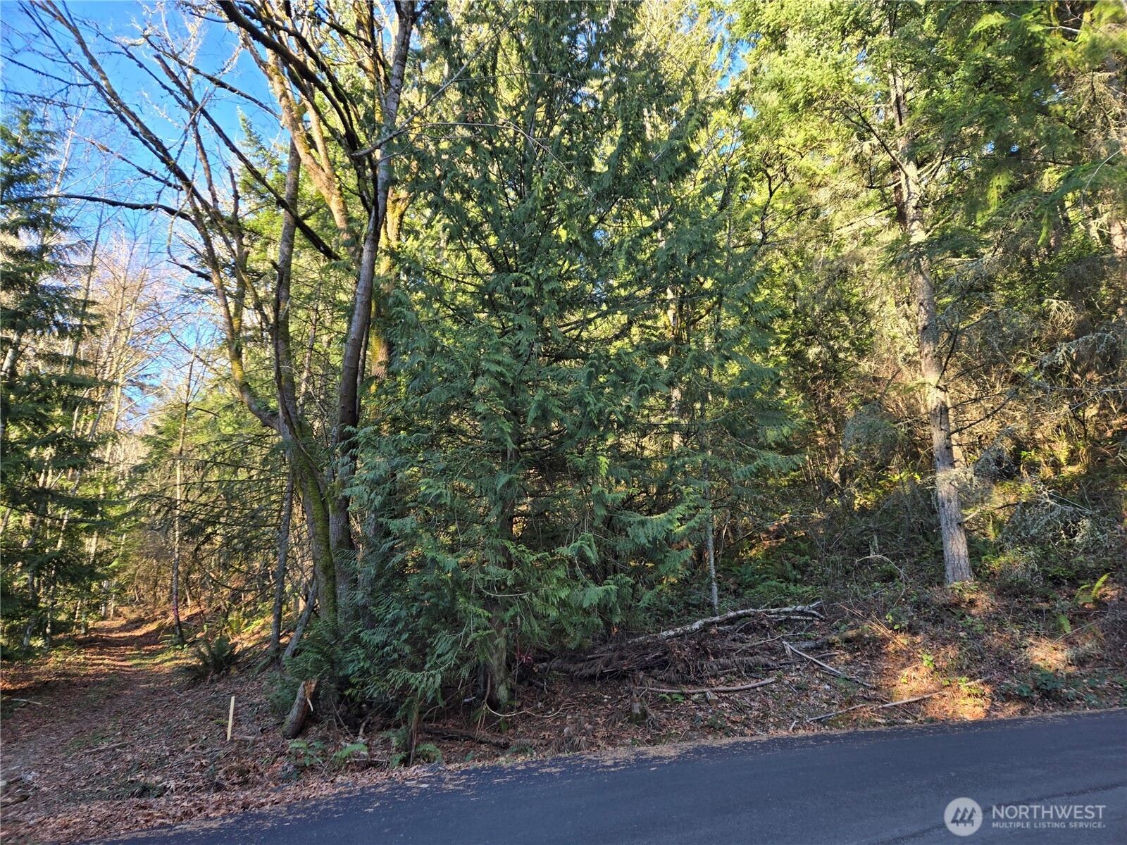 116 Xx 198th Avenue Property Photo 1