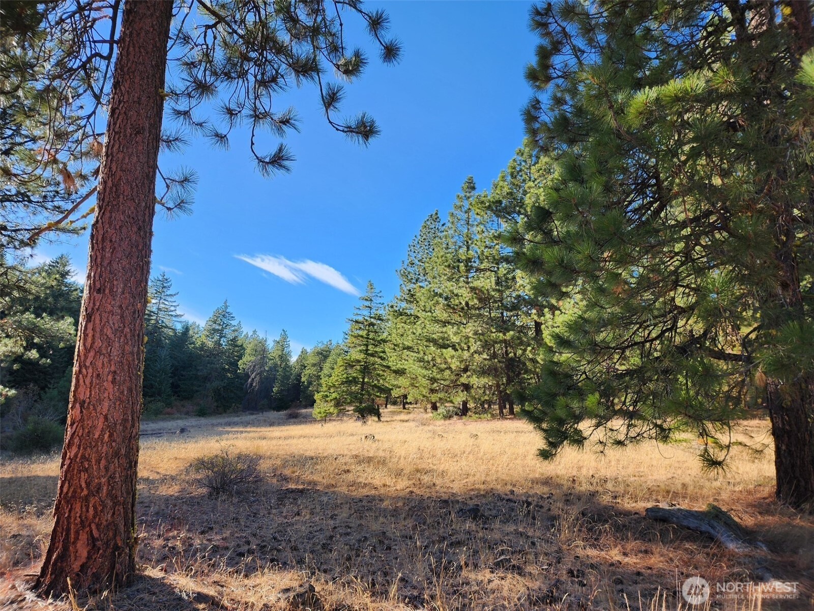 20 Xx Microwave Road Property Photo 1