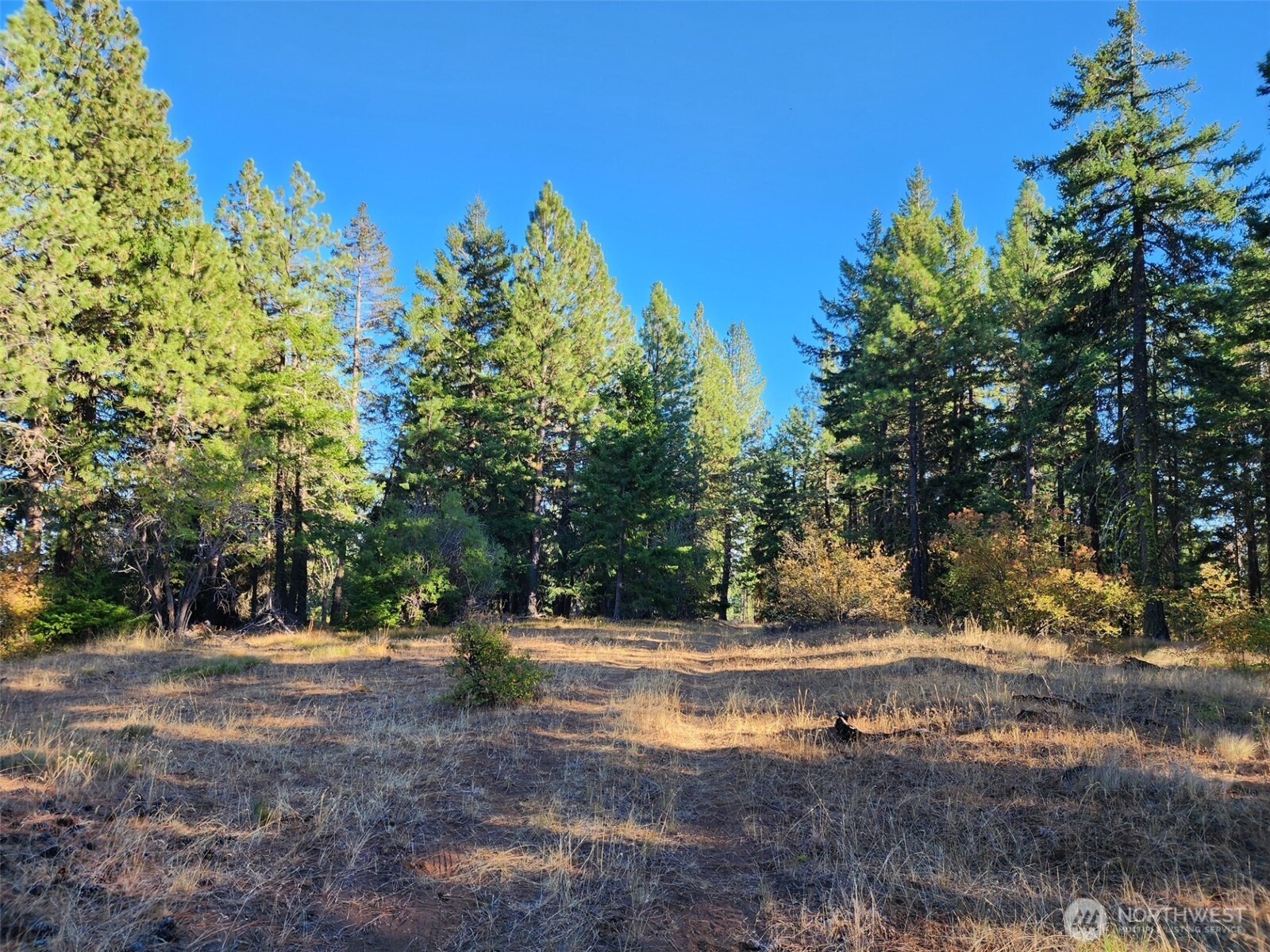 20 Xx Microwave Road Property Photo 3