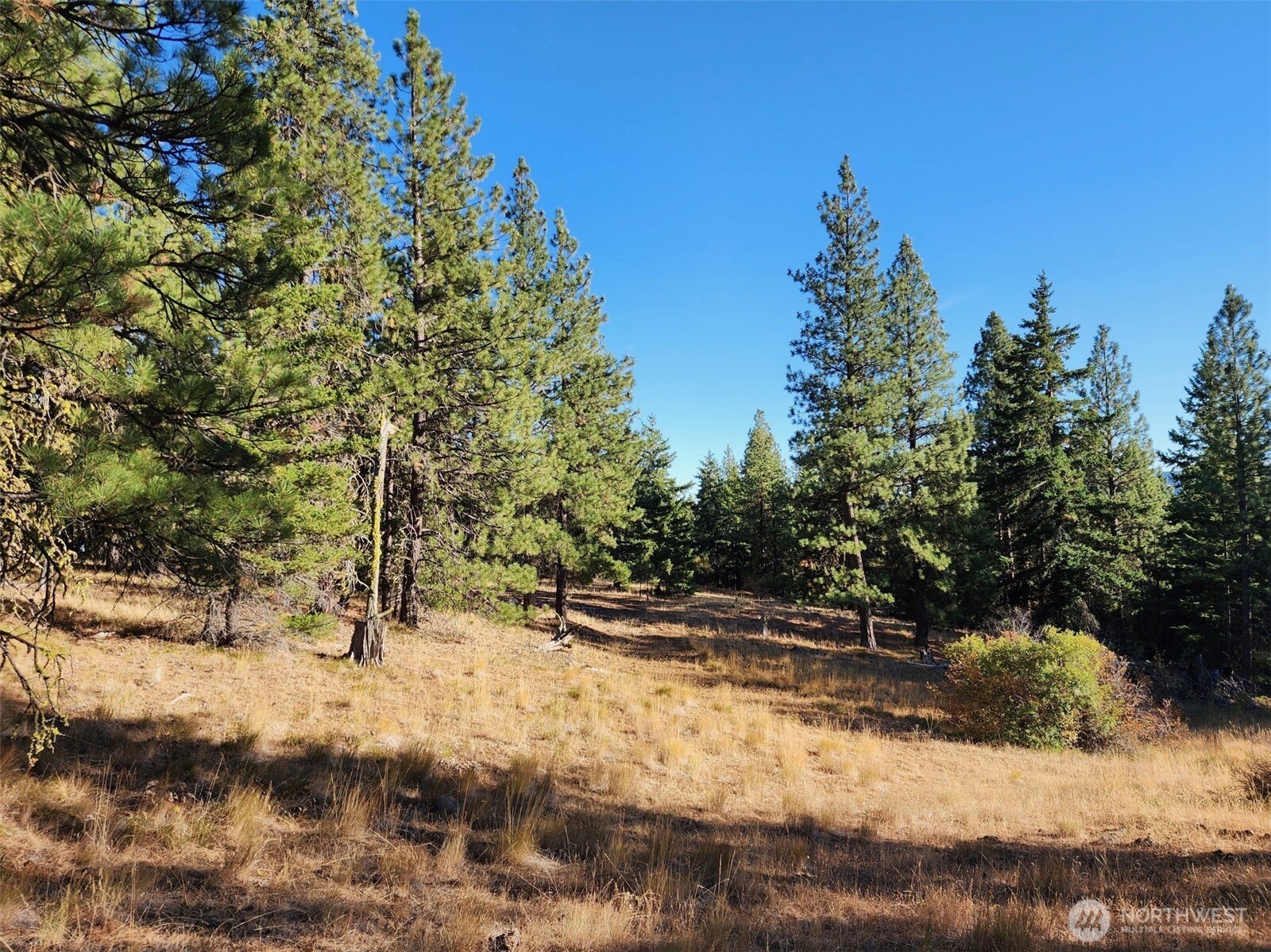 20 Xx Microwave Road Property Photo 4
