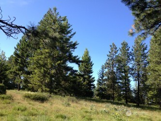 20 Xx Microwave Road Property Photo 5