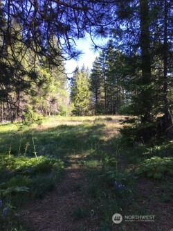 20 Xx Microwave Road Property Photo 8