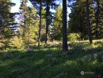 20 Xx Microwave Road Property Photo 10