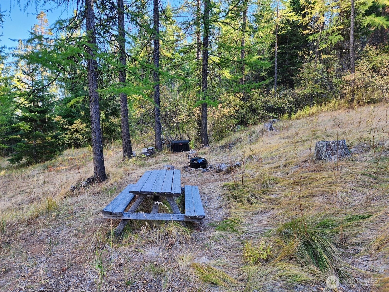 20 Xx Microwave Road Property Photo 11