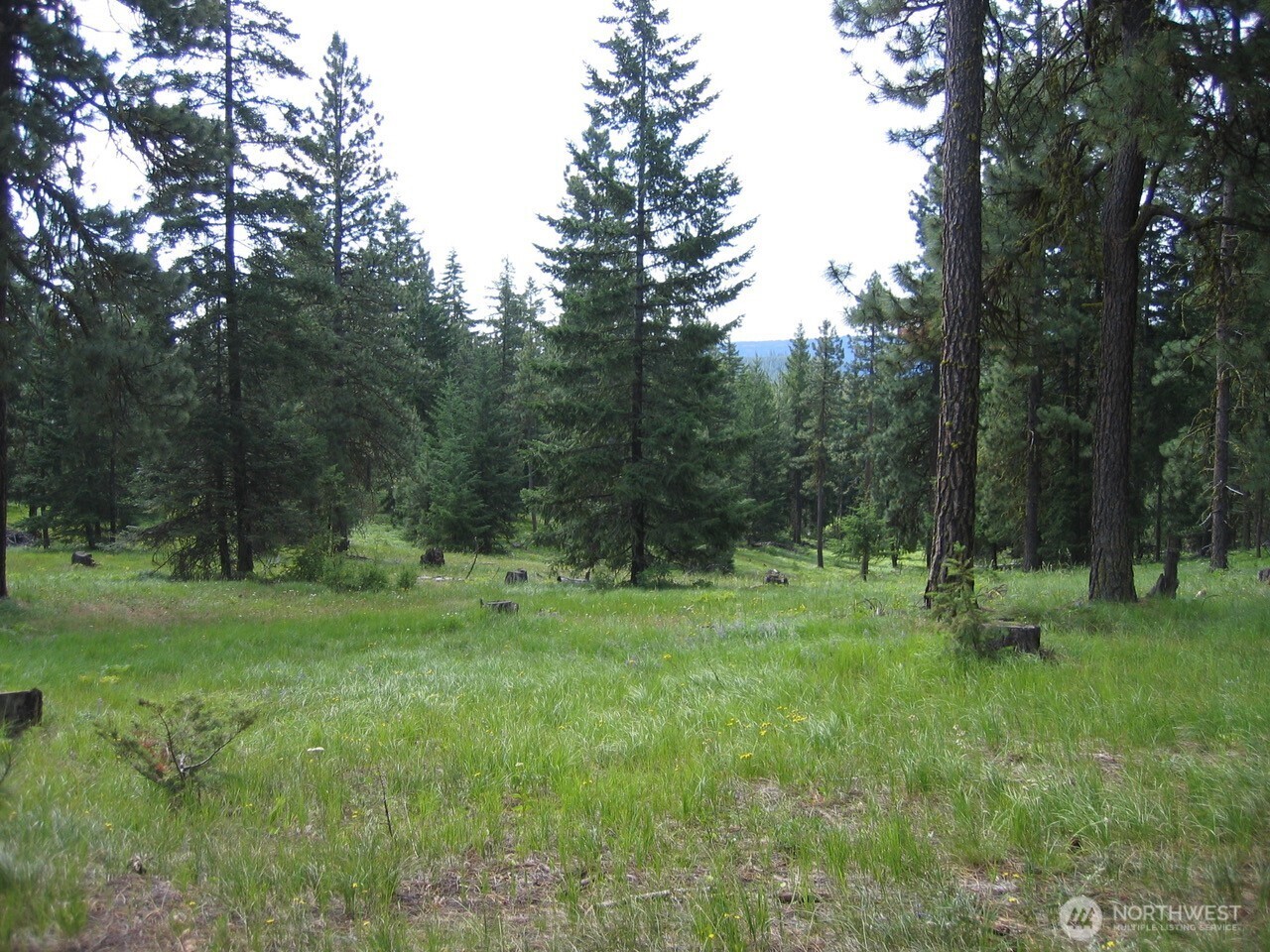 20 Xx Microwave Road Property Photo 15