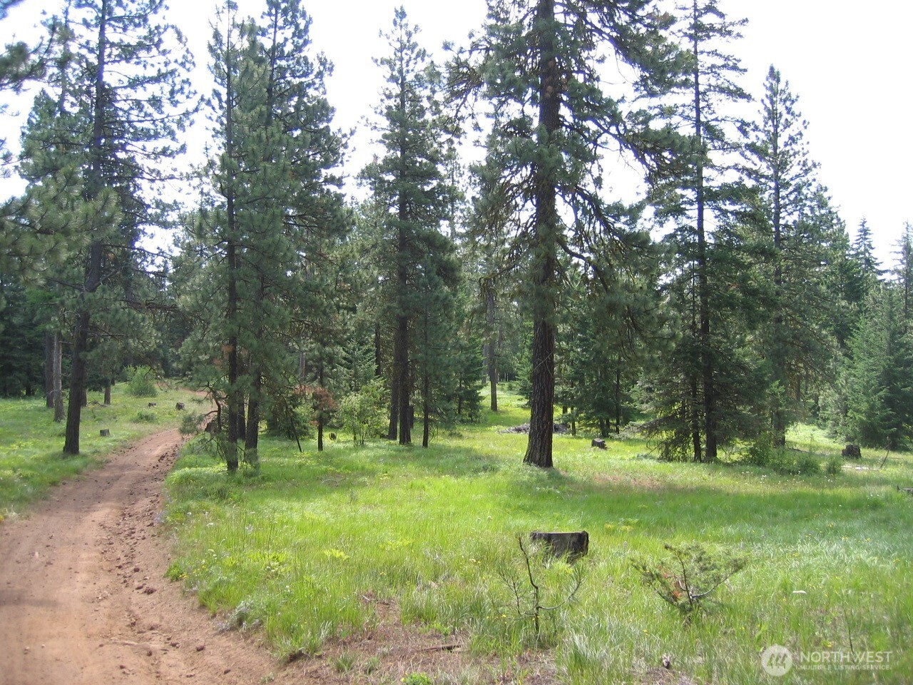 20 Xx Microwave Road Property Photo 16