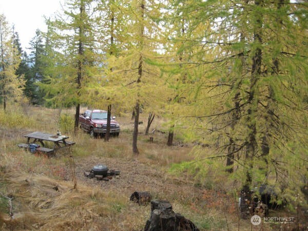 20 Xx Microwave Road Property Photo 17
