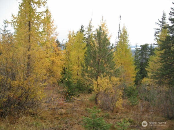 20 Xx Microwave Road Property Photo 18