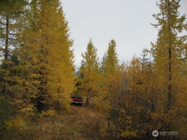 20 Xx Microwave Road Property Photo 19