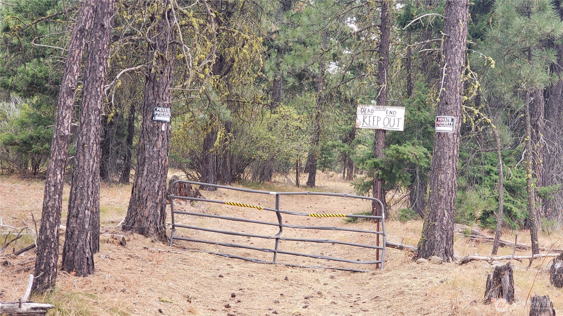 20 Xx Microwave Road Property Photo 21