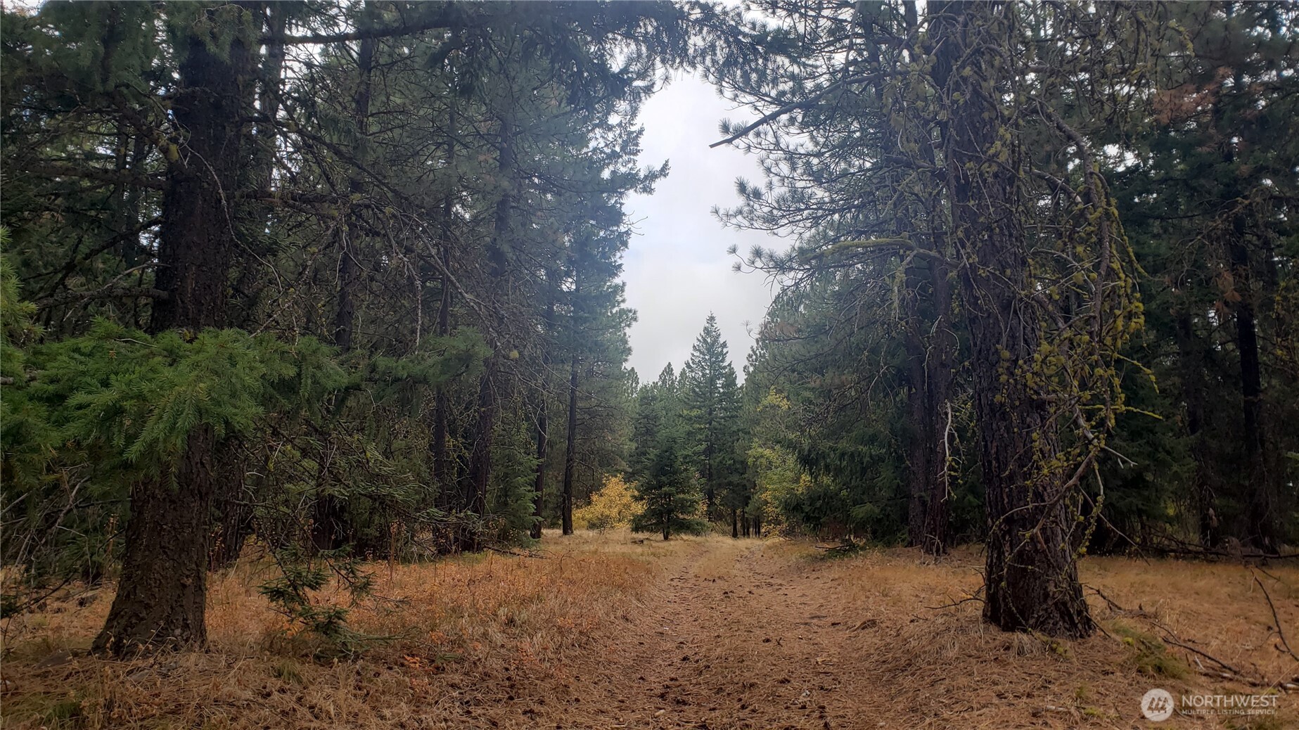 20 Xx Microwave Road Property Photo 24