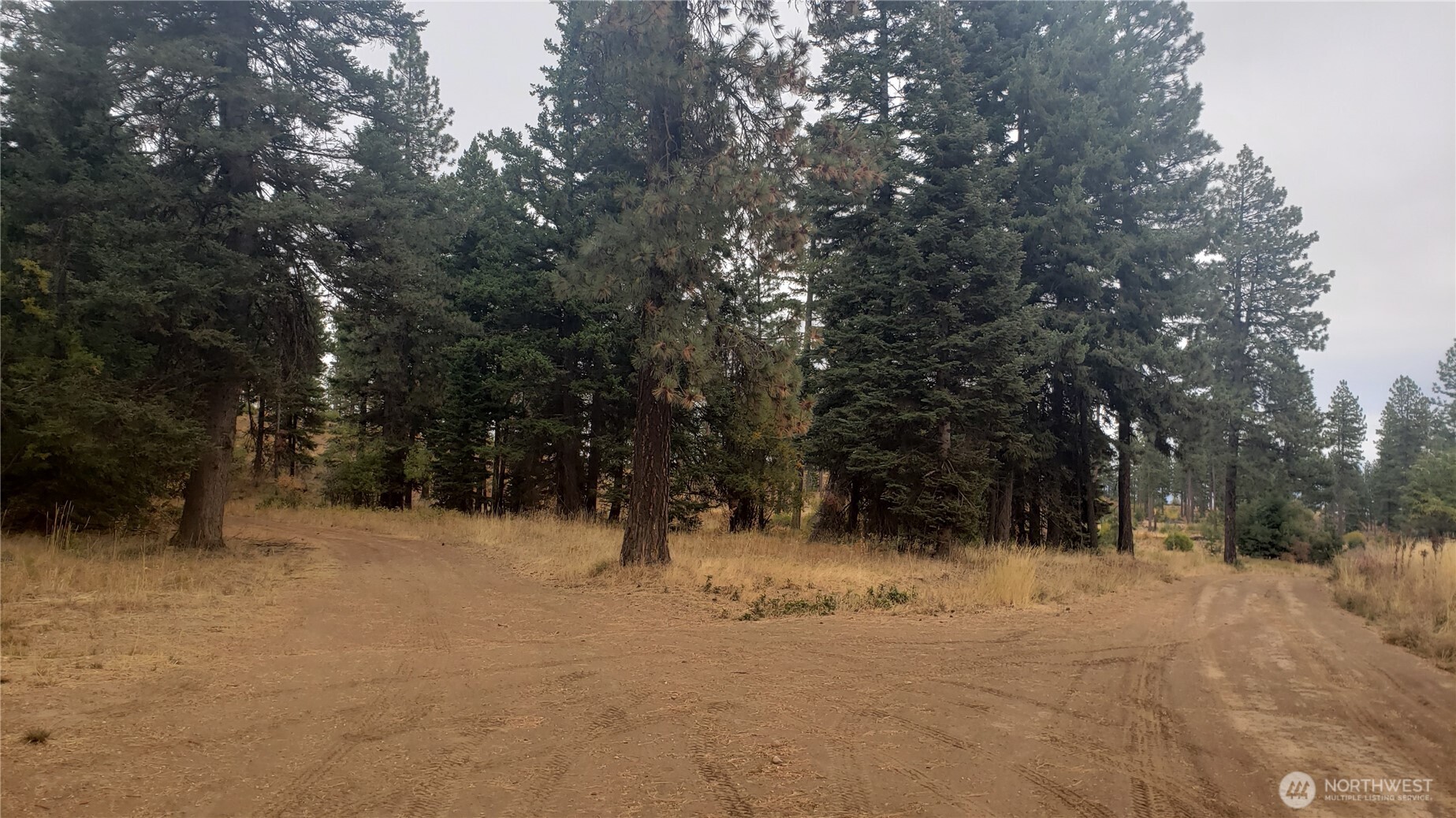 20 Xx Microwave Road Property Photo 25
