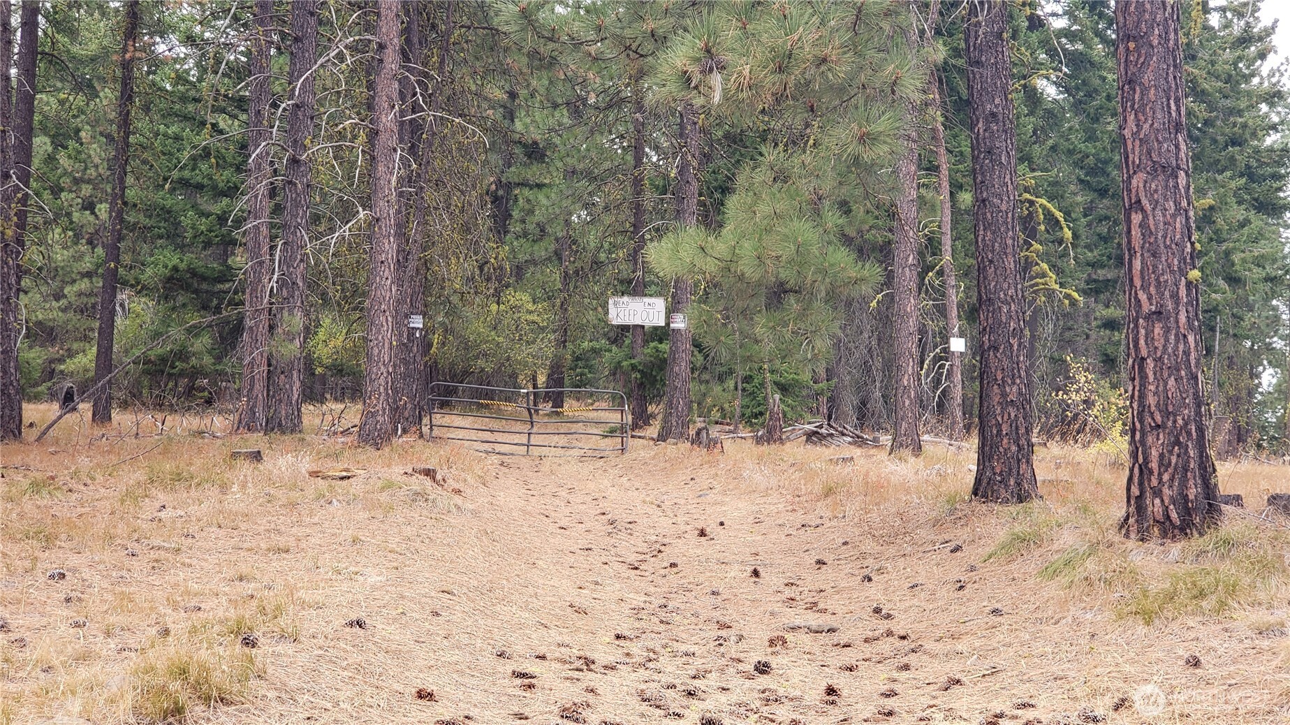 20 Xx Microwave Road Property Photo 26
