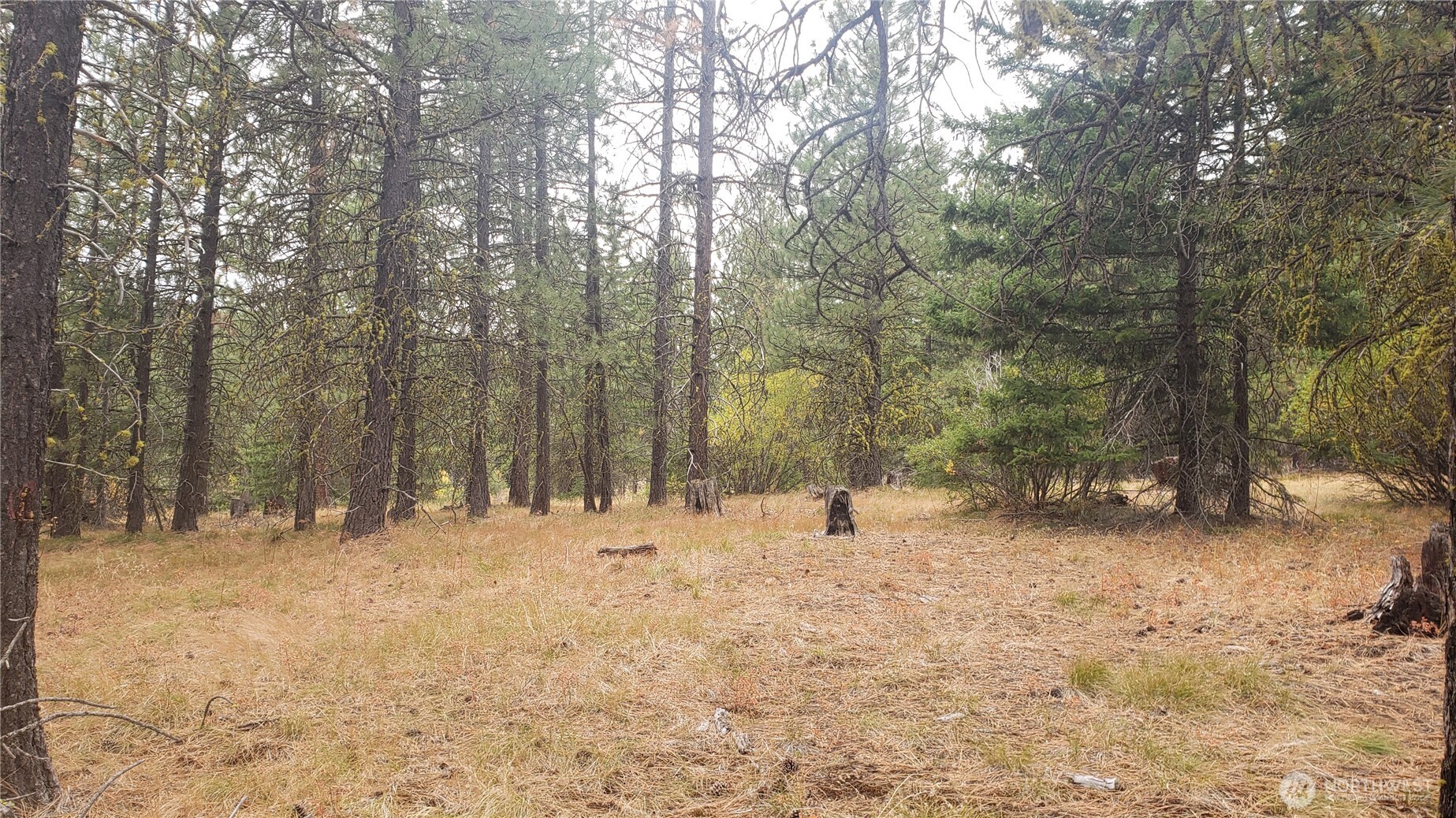 20 Xx Microwave Road Property Photo 27
