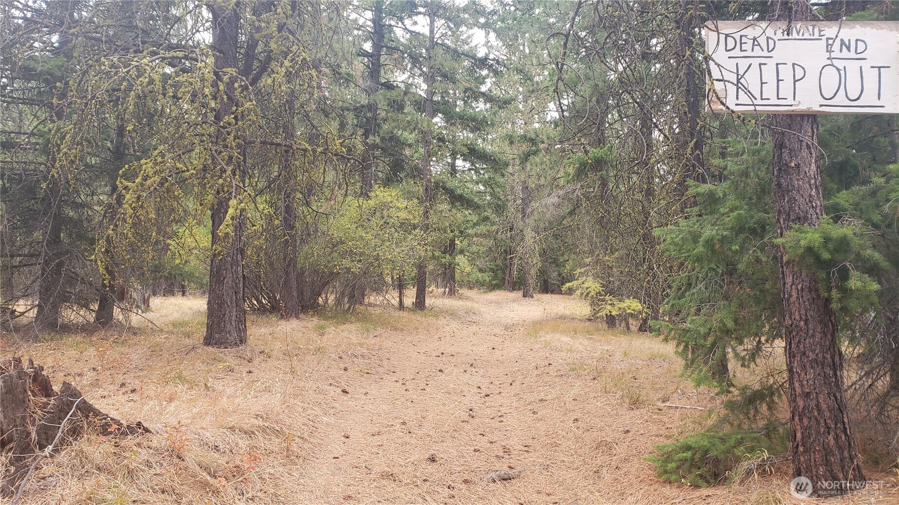 20 Xx Microwave Road Property Photo 28