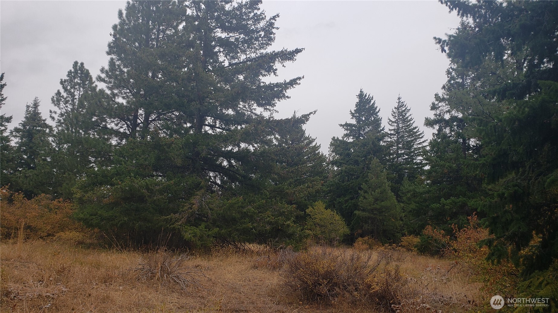 20 Xx Microwave Road Property Photo 31