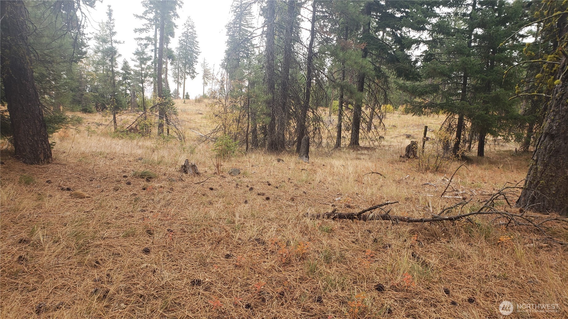 20 Xx Microwave Road Property Photo 34