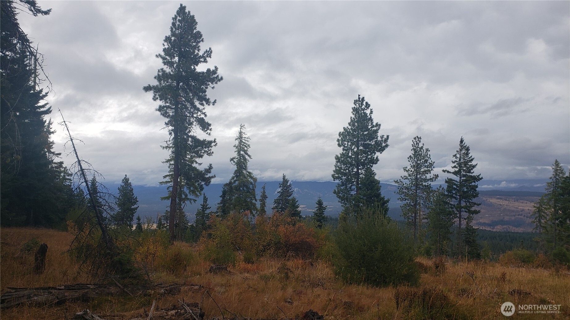 20 Xx Microwave Road Property Photo 35