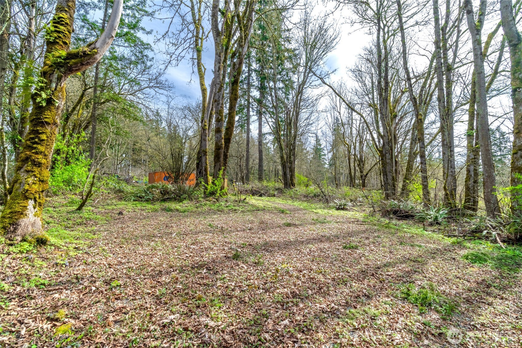 17318 Se 288th Street Property Photo 8