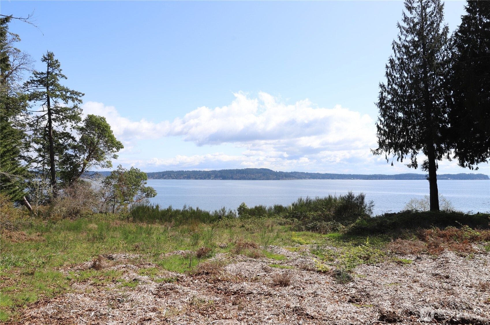 14811 71st Street Property Photo 7