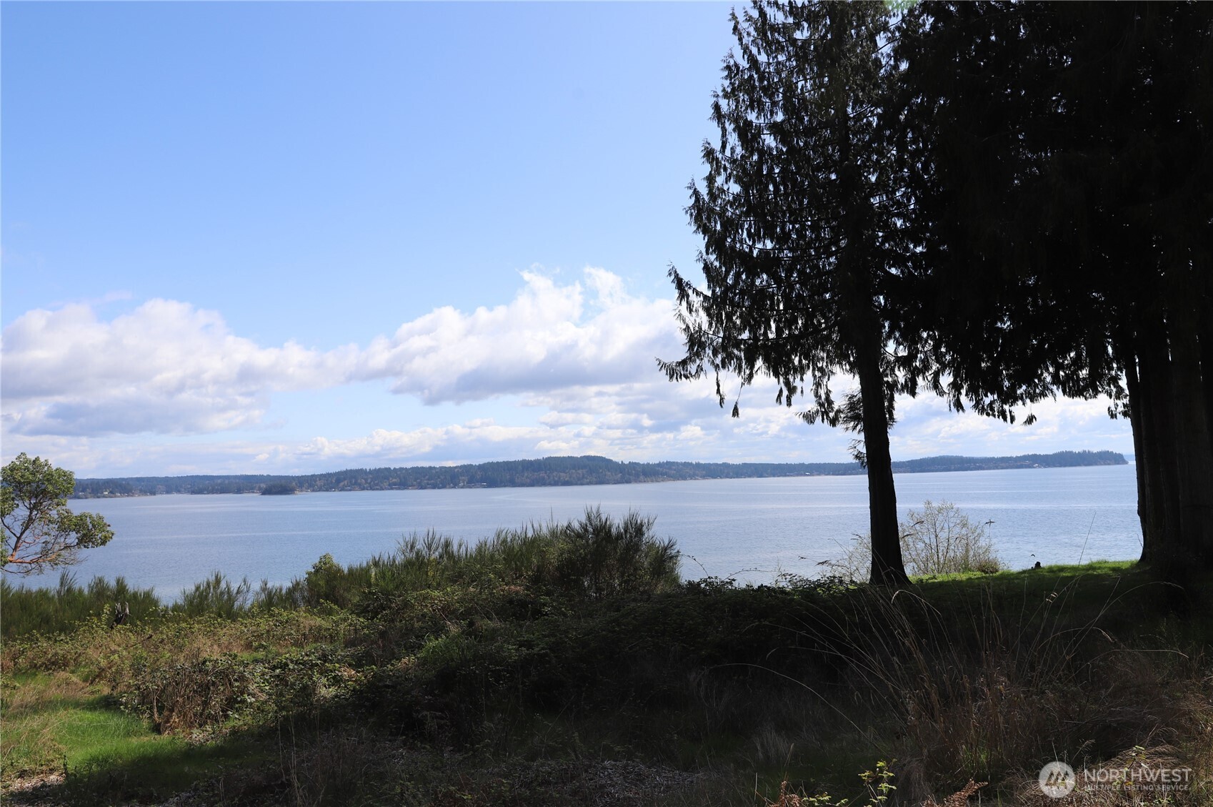 14811 71st Street Property Photo 8