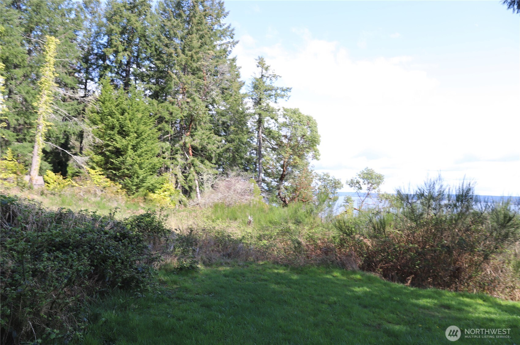 14811 71st Street Property Photo 10