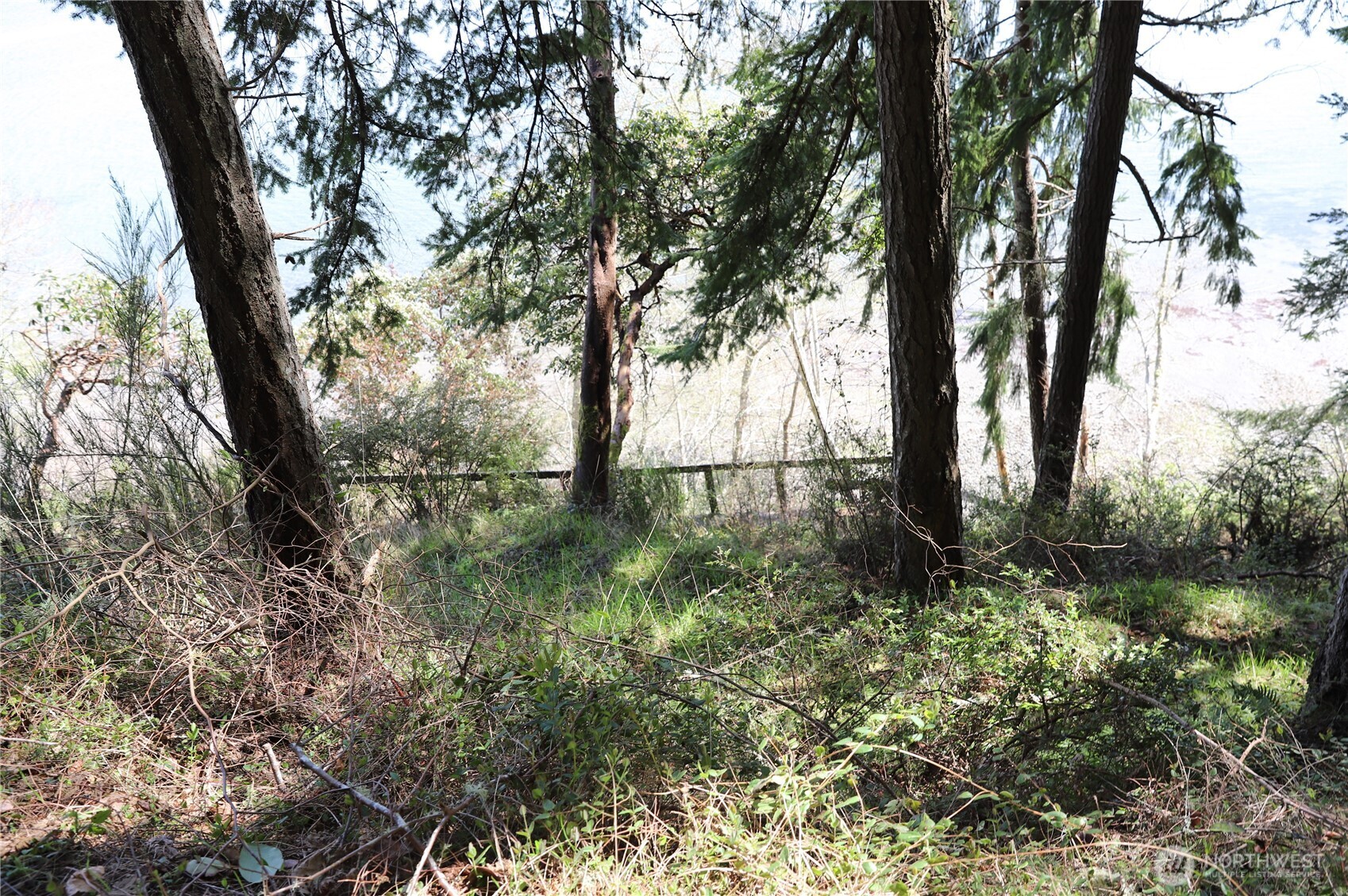 14811 71st Street Property Photo 12
