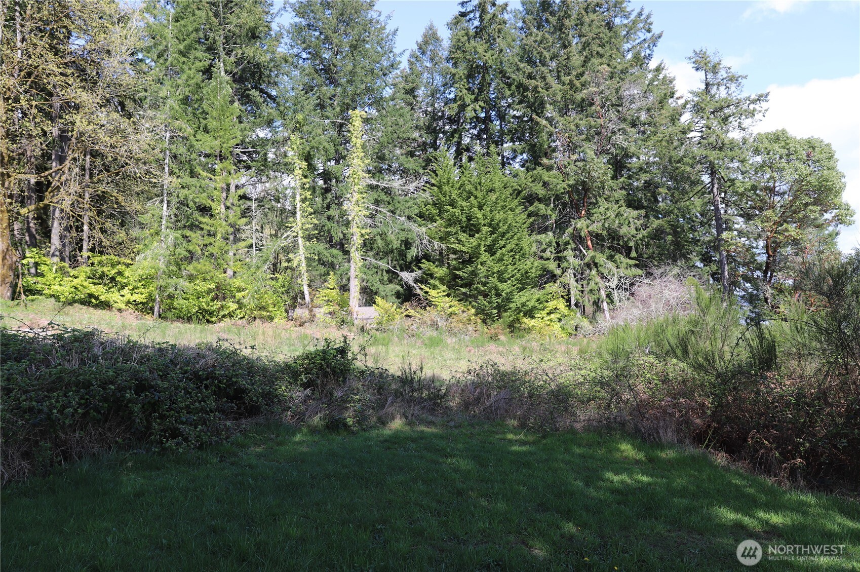 14811 71st Street Property Photo 18
