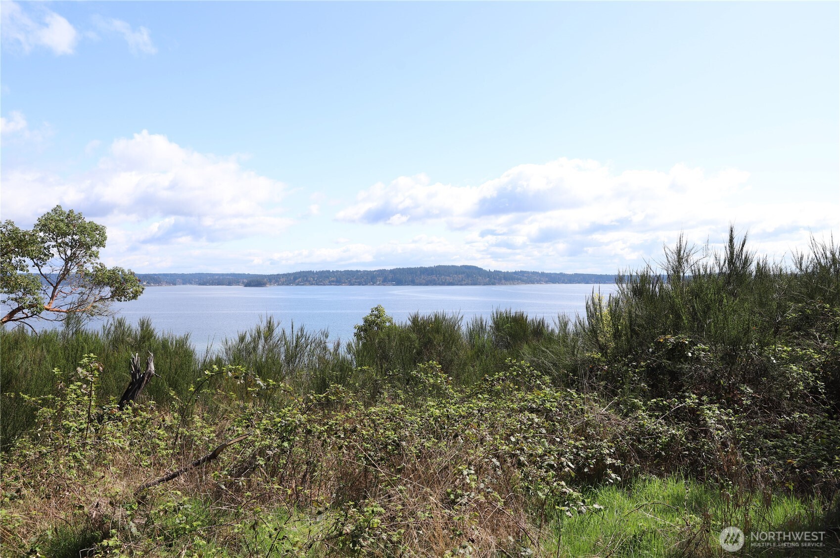 14811 71st Street Property Photo 19