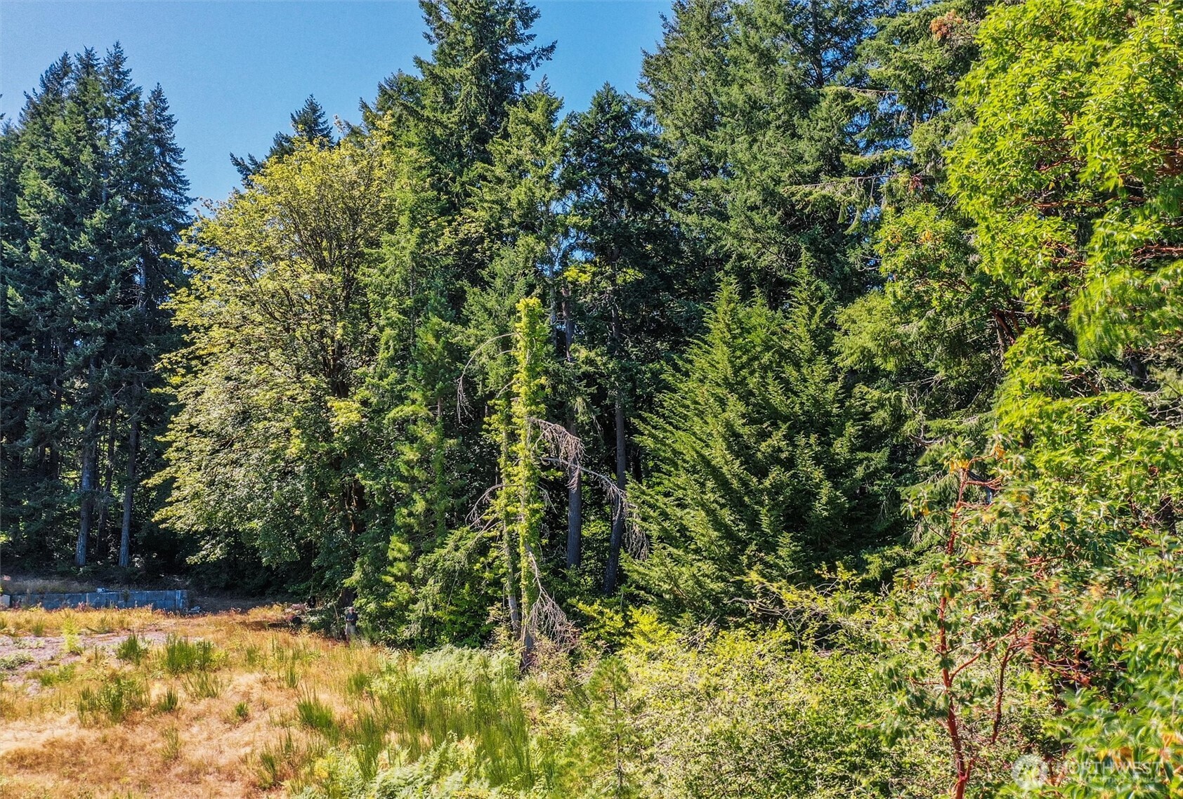 14811 71st Street Property Photo 29