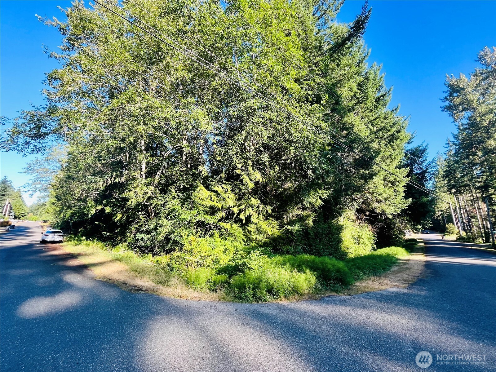 321 E Ballycastle Way Property Photo