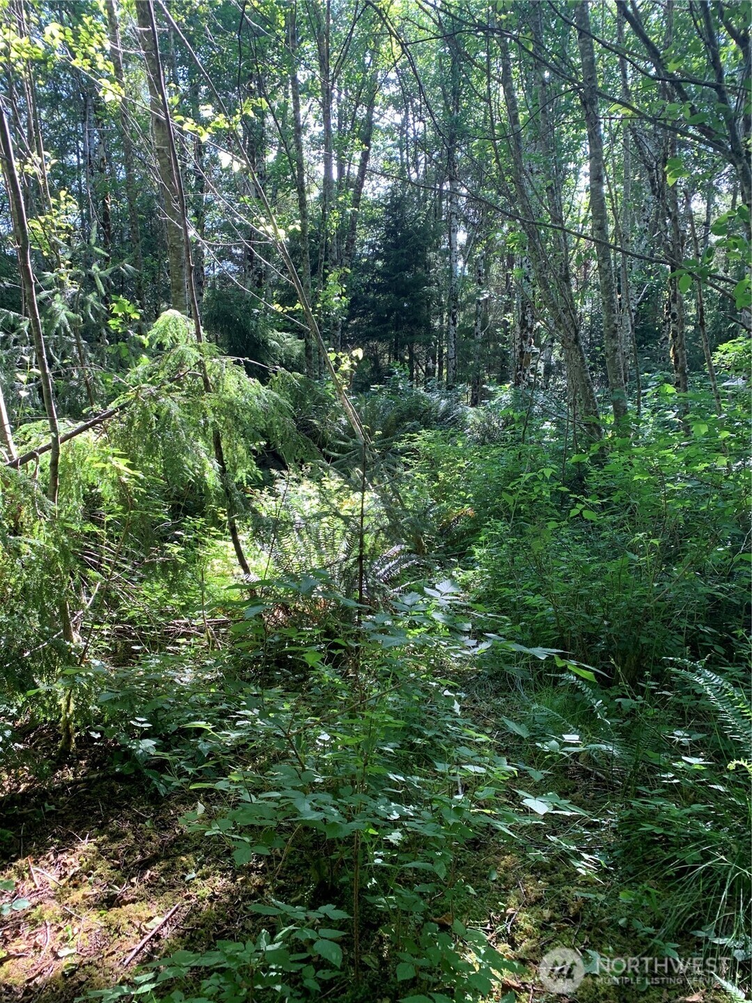 1 Tract Parpala Road Property Photo 5