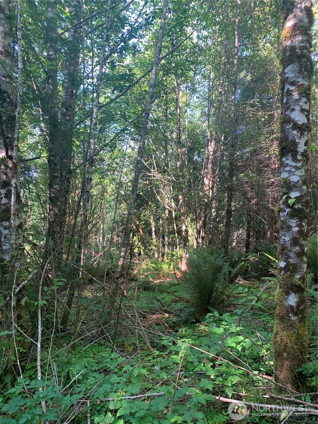 1 Tract Parpala Road Property Photo 7