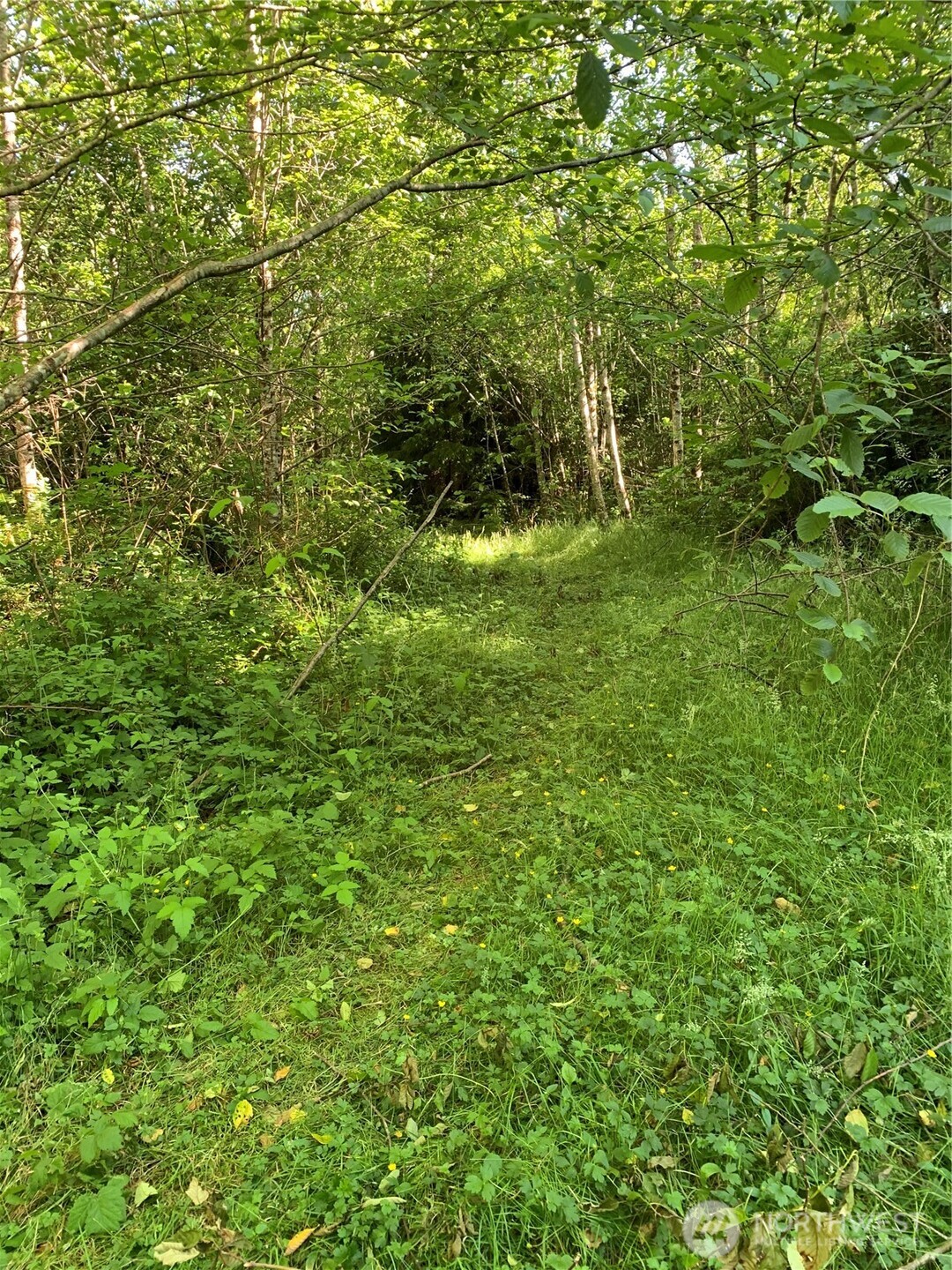 2 Tract Parpala Road Property Photo 1