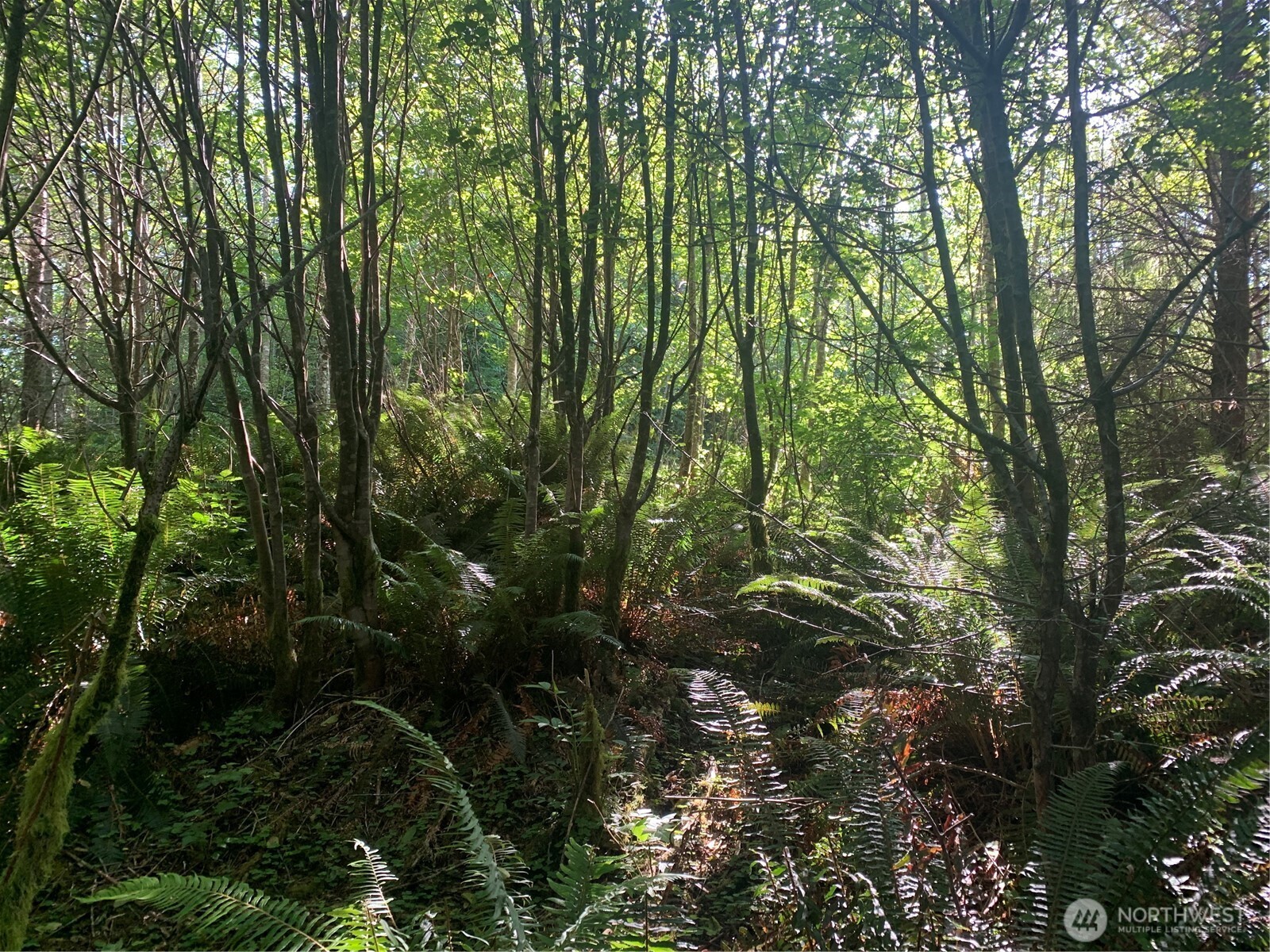 2 Tract Parpala Road Property Photo 9