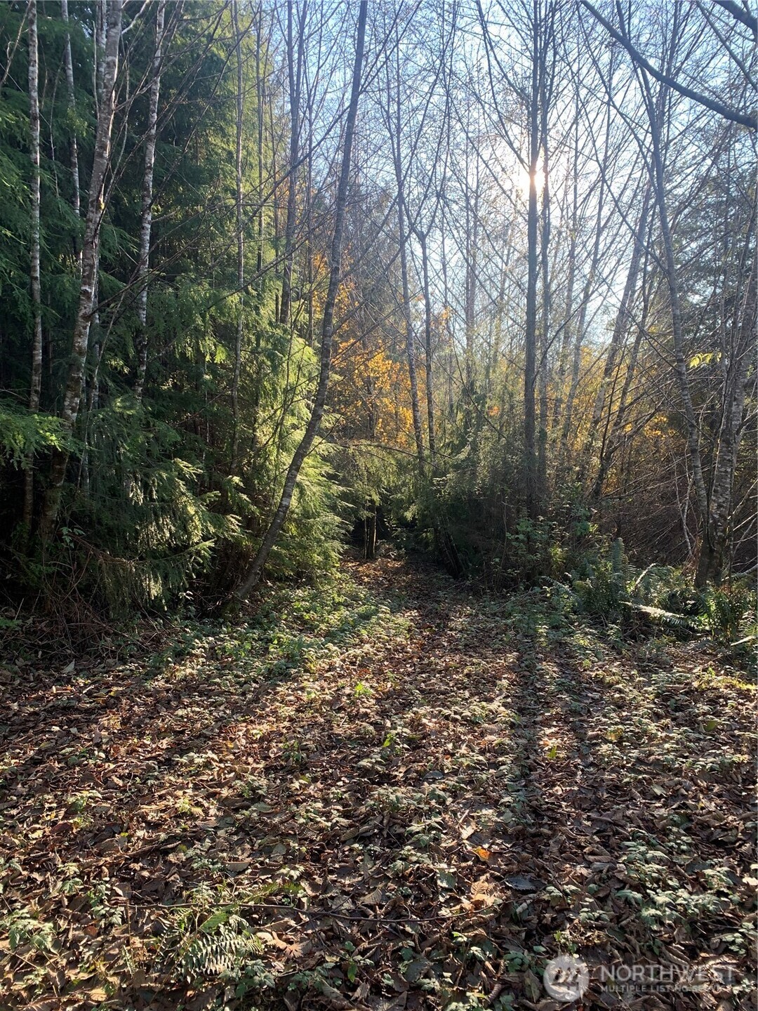 3 Tract Parpala Road Property Photo 1