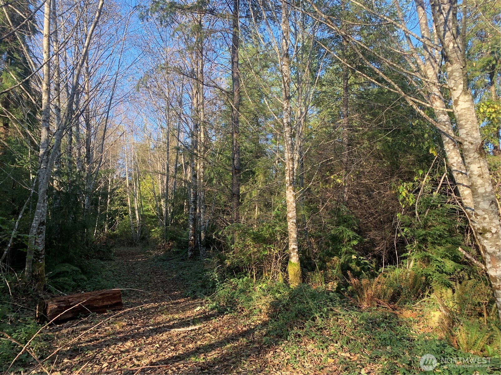 3 Tract Parpala Road Property Photo 24