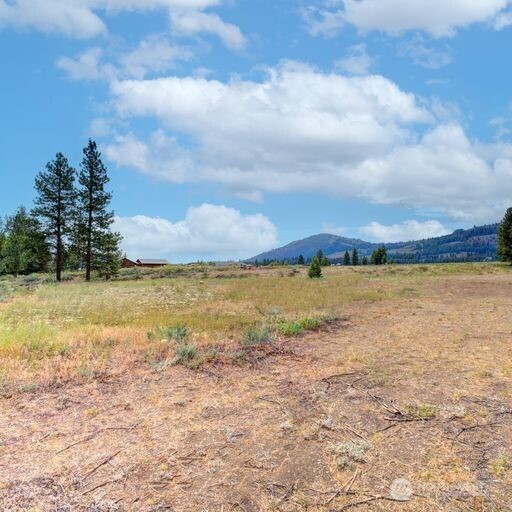 50 Arrowhead Road Property Photo 19