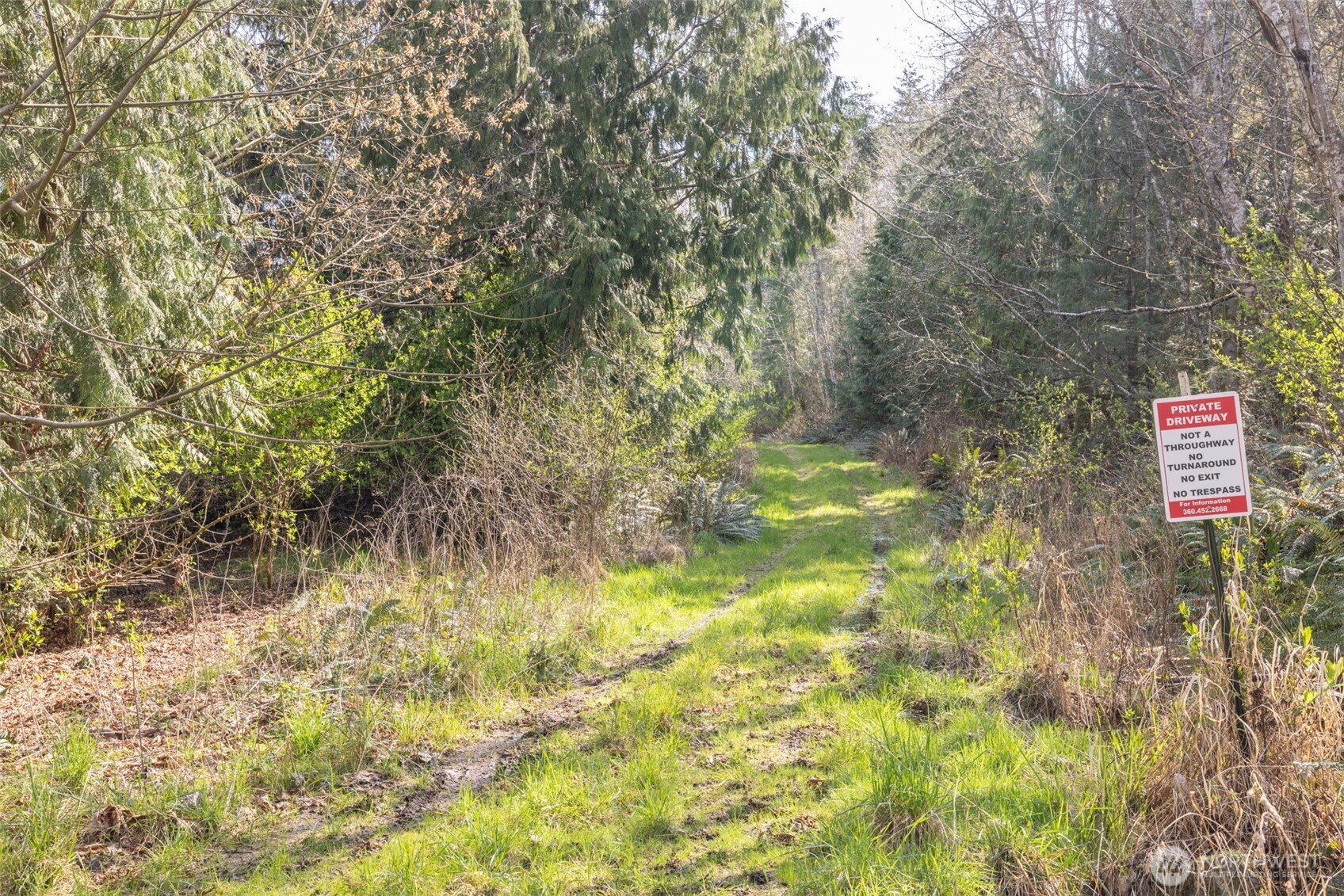 9999 N Bagley Creek Road Property Photo 5