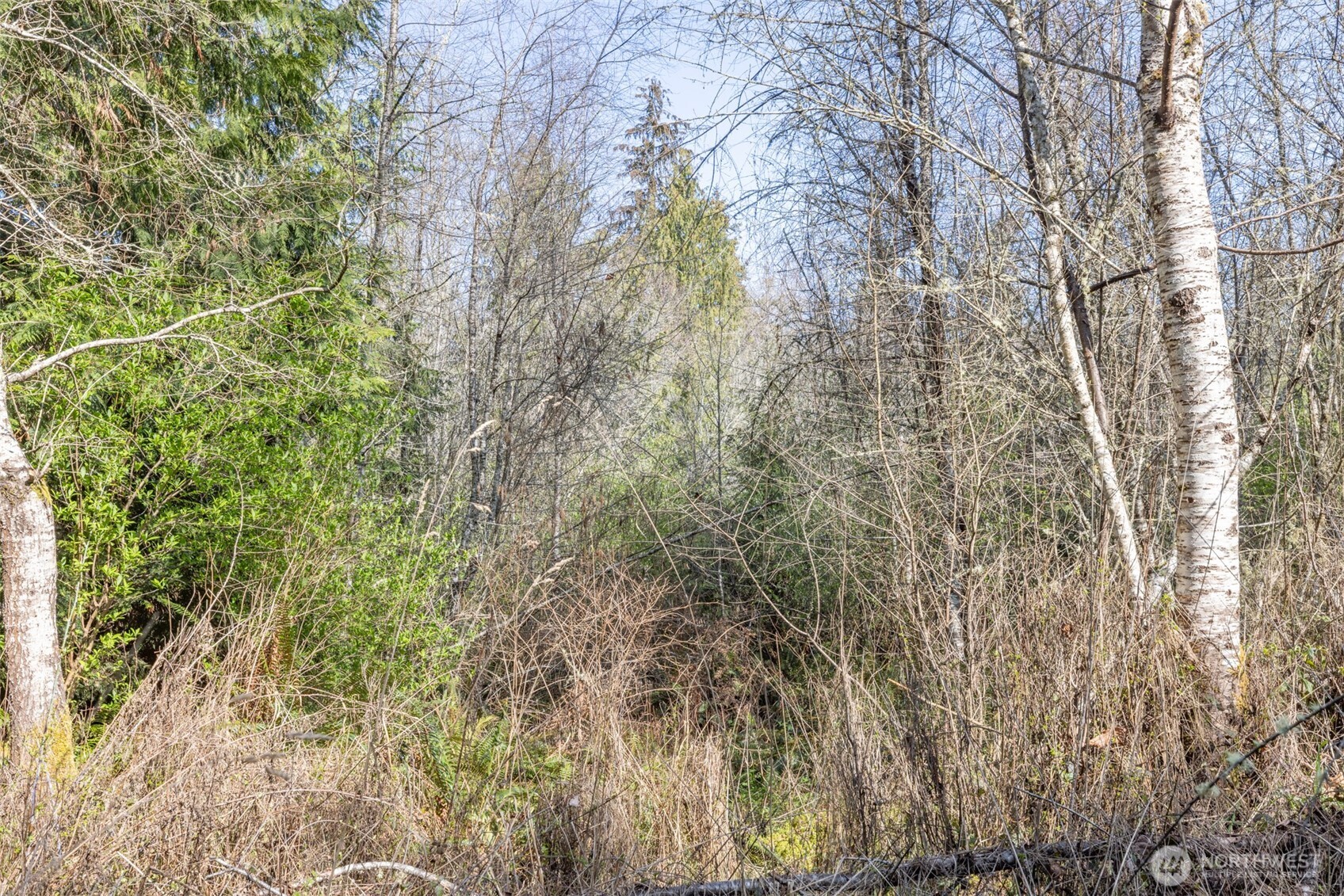 9999 N Bagley Creek Road Property Photo 6