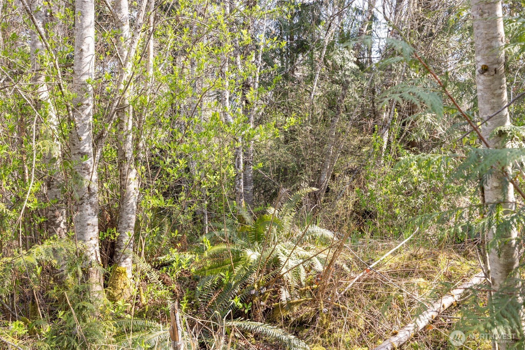 9999 N Bagley Creek Road Property Photo 8