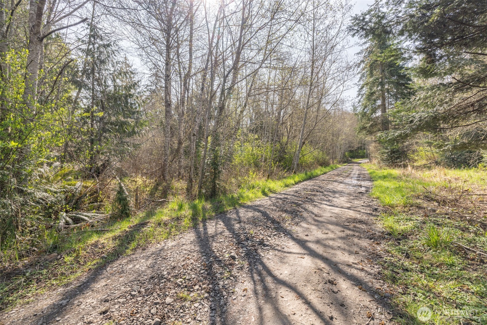 9999 N Bagley Creek Road Property Photo 10