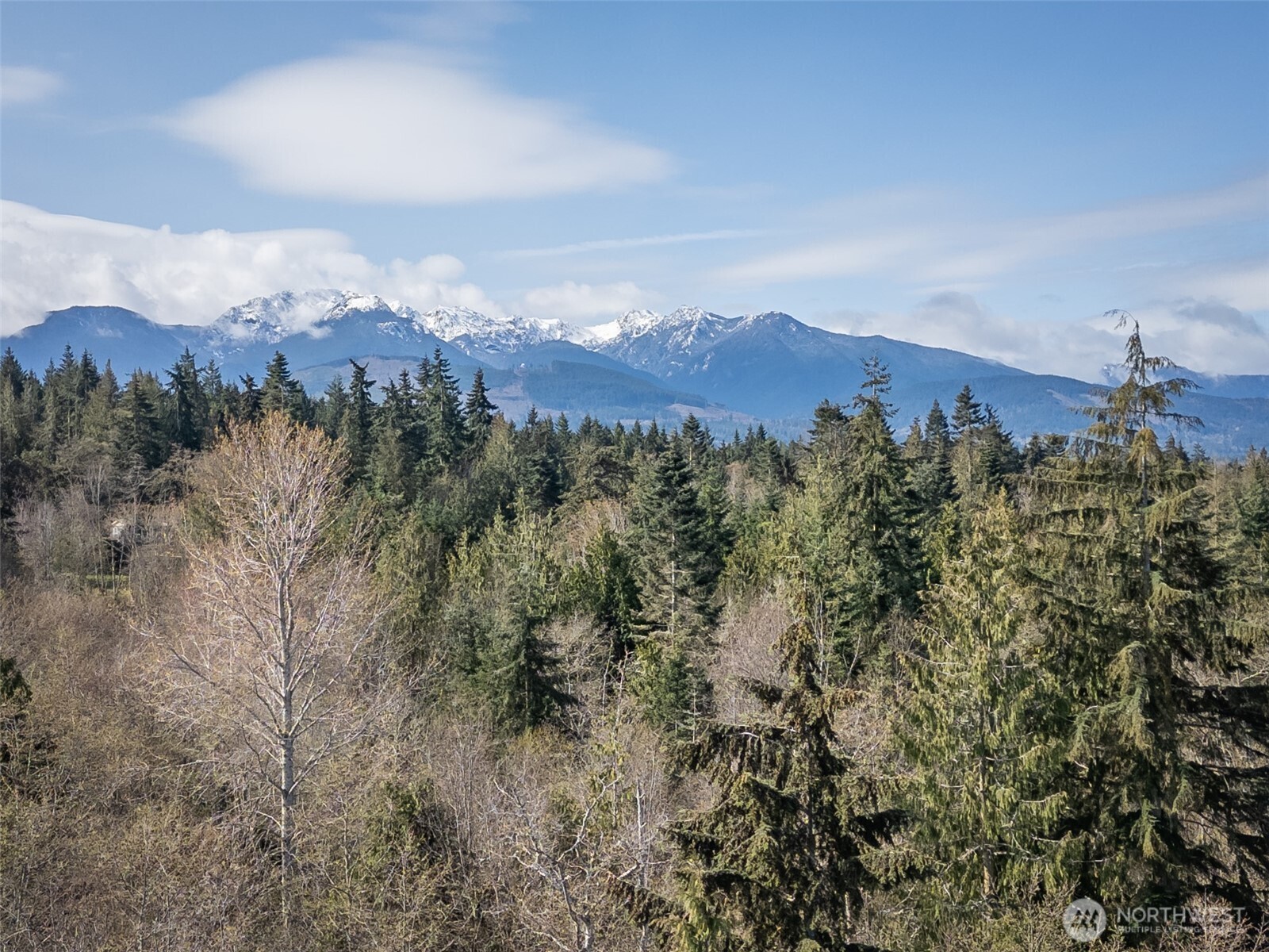 9999 N Bagley Creek Road Property Photo 27
