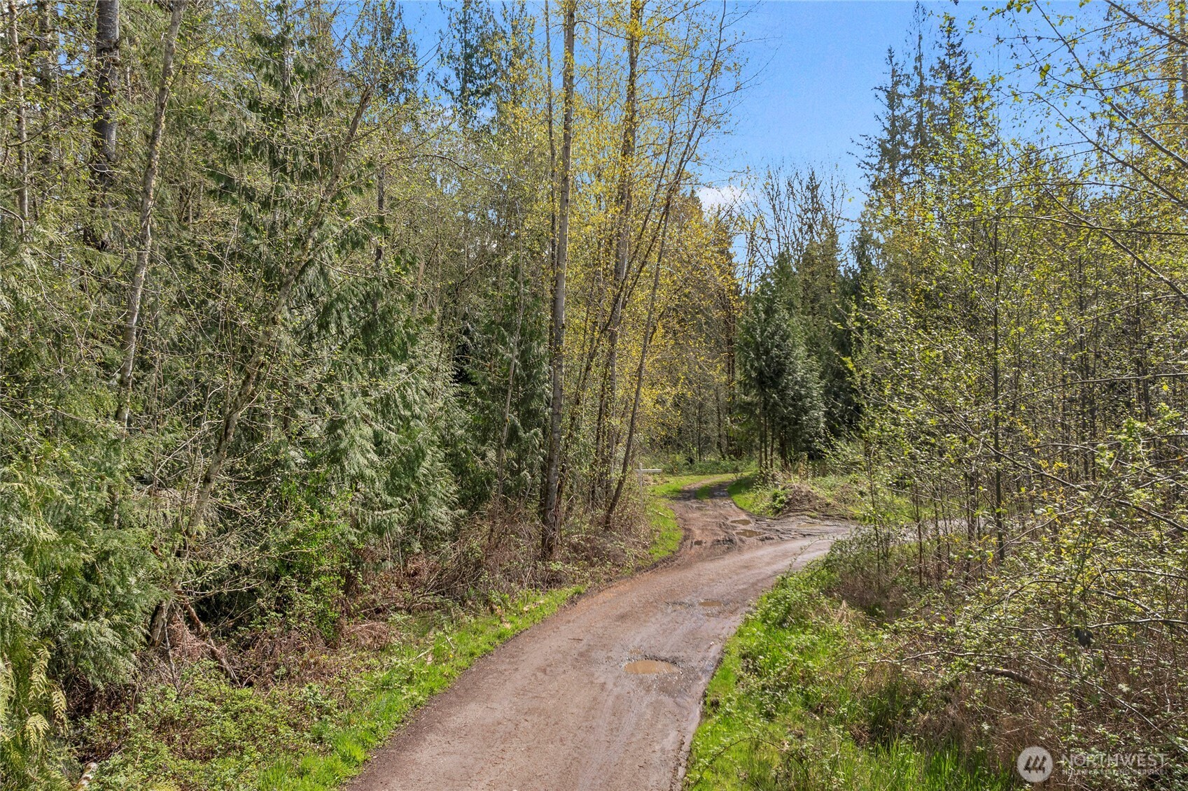 7717 156th Avenue Property Photo 1