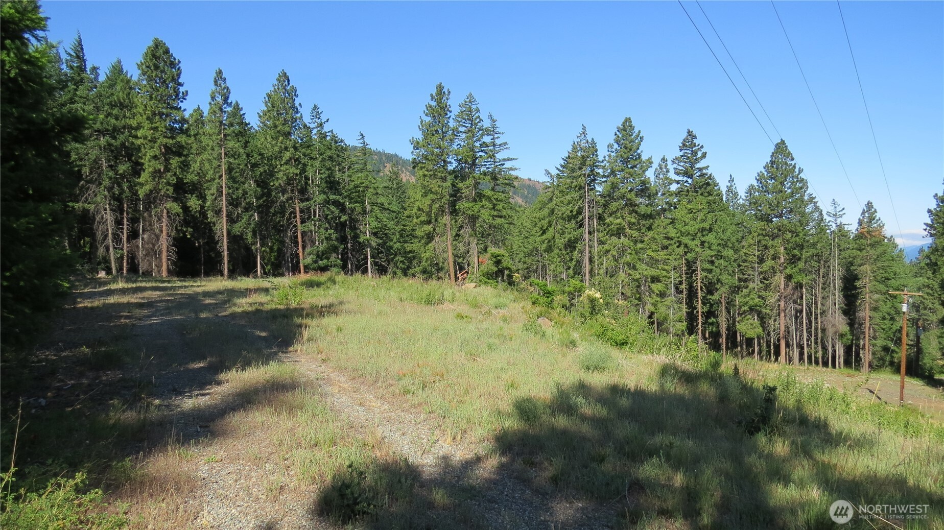 1481 Casassa Road Property Photo 1