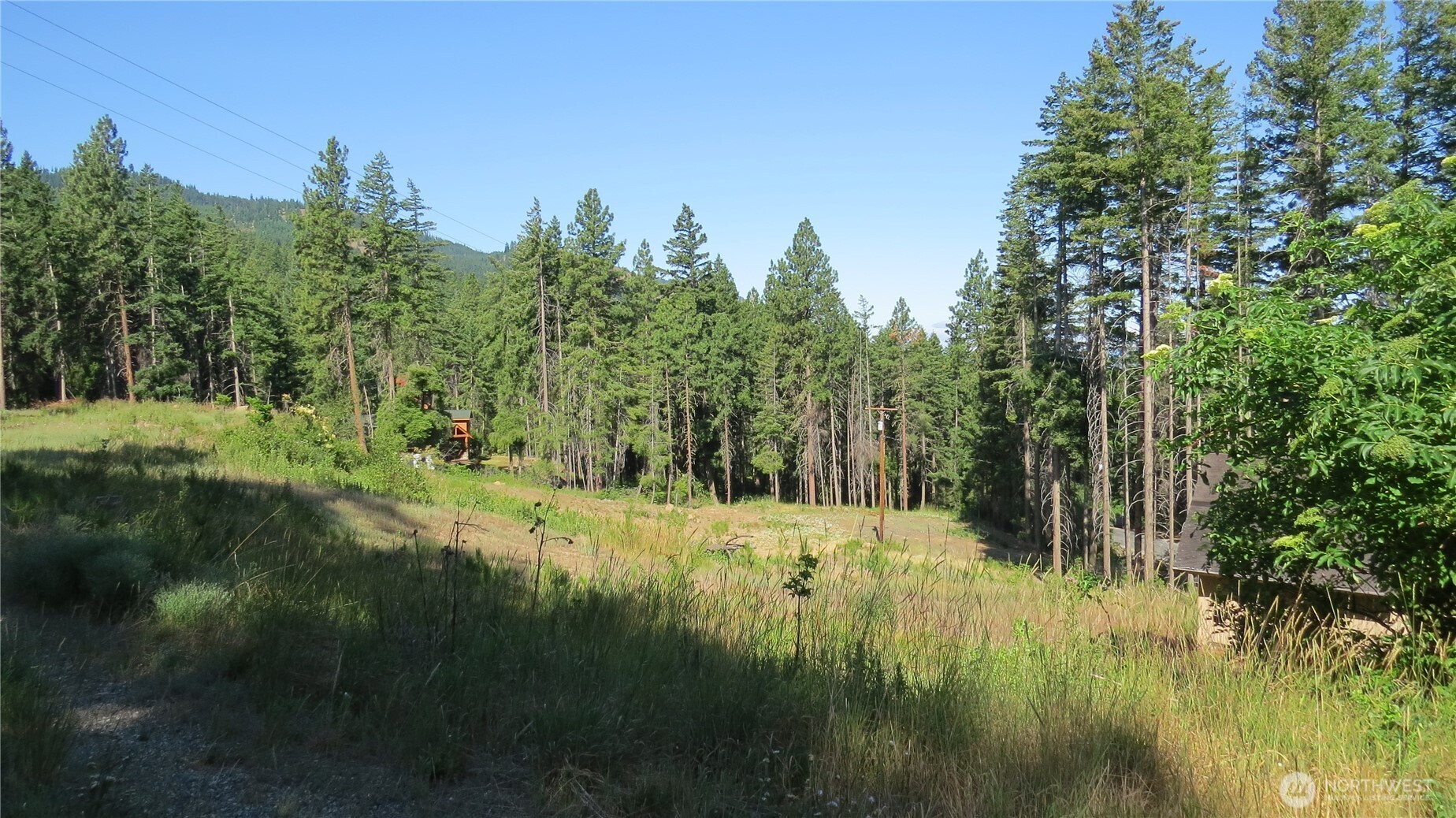 1481 Casassa Road Property Photo 2