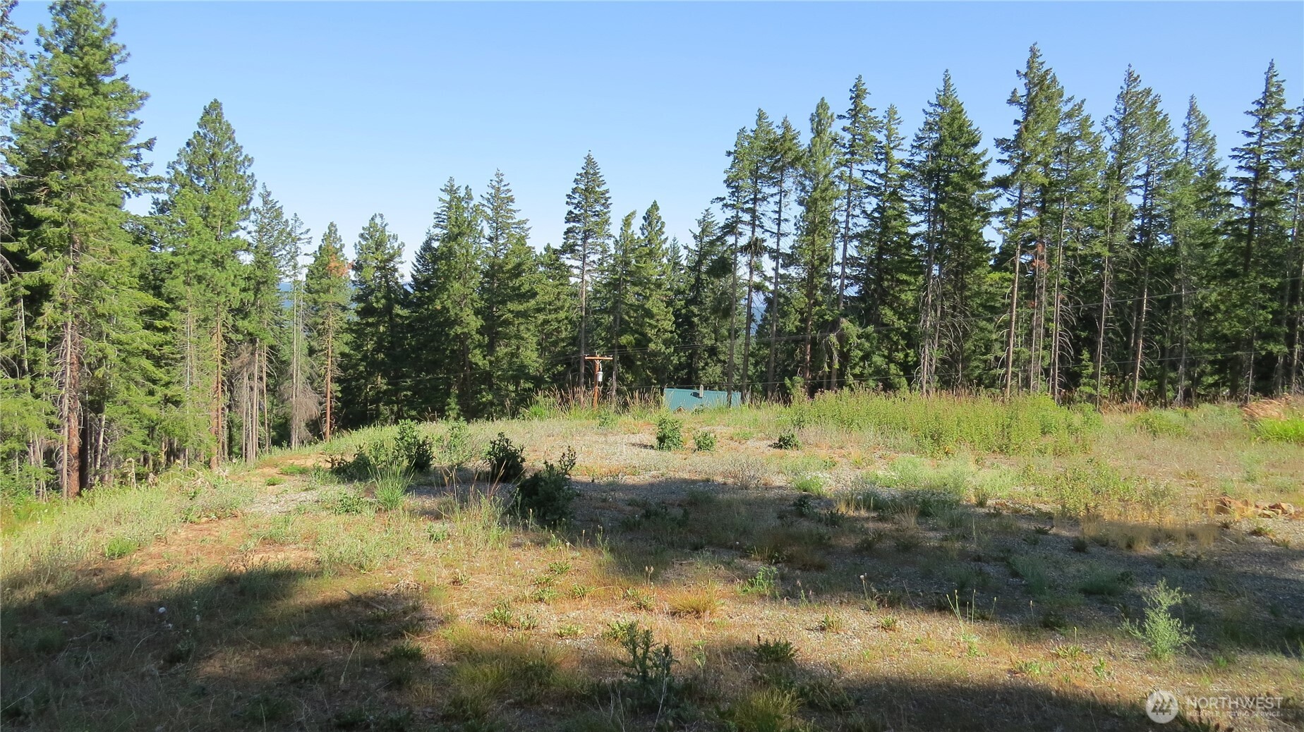 1481 Casassa Road Property Photo 3