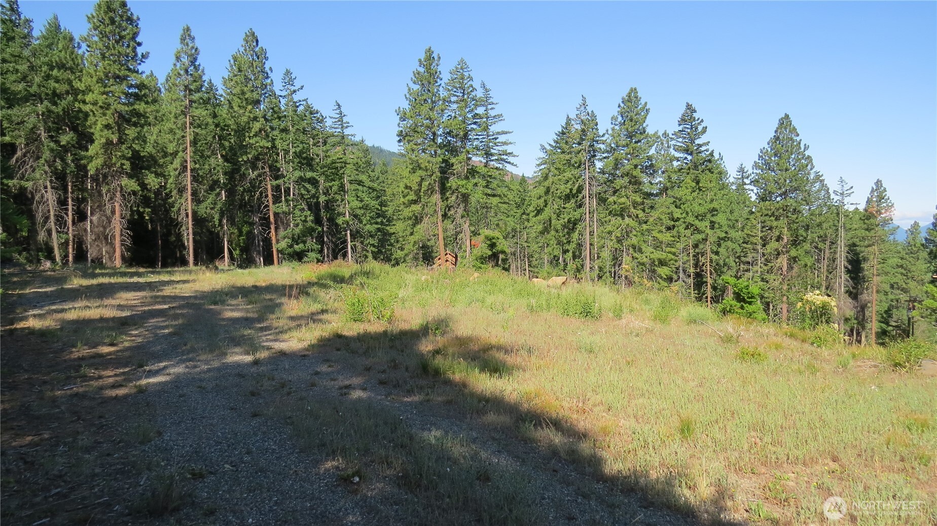 1481 Casassa Road Property Photo 4